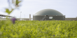 CycleØ invests €200m and shares knowledge to support Spanish biogas production