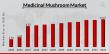 Global Medicinal Mushroom Market Poised for Significant Growth Amid Rising Demand for Natural Health Solutions