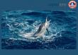 Swordfish Comeback: A Tale of Sustainable Fishing and Certified Success