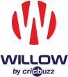 WILLOW TV AVAILABLE ON YOUTUBE TV IN THE U.S.