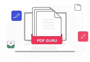 PDG Guru workflow chart