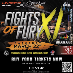 Fights of Fury VS
