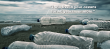 SeaSweepers Unveils Scalable Climate-Tech Solution to Tackle Marine Plastic Crisis
