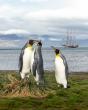 Tall Ship Oosterschelde en route to Cape Town, Marking a Historic Milestone in the Global DARWIN200 Conservation Mission
