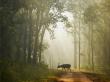 Madhya Pradesh: A Leading Destination for Tiger Conservation and Wildlife Tourism