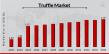 Truffle Market to Reach 4.39 USD Bn by 2032 with 12.1% CAGR Driven by Increasing consumer awareness