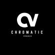 Chromatic Visuals: Elevating Brand Storytelling Through Cinematic Excellence