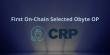 CariPower Becomes First Order Provider Chosen by Obyte’s Decentralized Governance