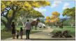 National Service Animals Memorial authorized by Congress to be built in nation’s Capital advances to Site Selection