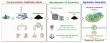 Renewable high-quality activated carbon from low-quality by-product