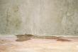 Addressing Basement Water Intrusion and Mold Growth Prevention Strategies