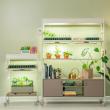 Vego Garden Unveils New Indoor Gardening Collection for Sustainable Gardening