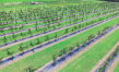 Evfarmer announces $8 million investment in multiple blackberry farms in Los Reyes, Mexico