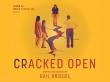World Premiere Of CRACKED OPEN A  New Play written and directed by GAIL KRIEGEL begins May 6 in NYC