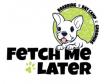 Fetch Me Later Offers Luxury Dog Boarding Options with Pool View and Patio Suites