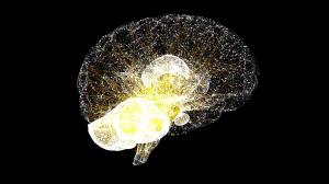 Effective treatment planning often begins with a comprehensive understanding of an individual's cognitive functioning, behavioral patterns, and overall clinical presentation