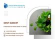 Mint Market anticipated to surpass US$9.709 billion by 2030 at a CAGR of 4.64%