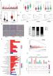 High-Mobility Group Nucleosomal-Binding Domain 2: A Prognostic Indicator and A New Therapeutic Target for Gliomas