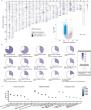 Comprehensive Genomic and Epigenomic Characterization of Iridocorneal Endothelial Syndrome