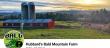 Get Vermont's Best at Hubbard's Bald Mountain Farm Market