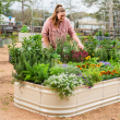 Vego Garden Aligns Product Innovations with 2025 Gardening Trends for a Healthier, More Sustainable Season