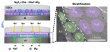 Charting new terrain in energy storage: the emergence of zero-sodium-excess solid-state batteries