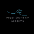 Puget Sound K9 Academy Wins the 2025 Quality Business Award for The Best Dog Trainer in Tumwater, Washington