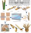 Eco-friendly Bamboo Drinking Straws: A Sustainable Alternative to Plastic Pollution