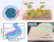 Unlocking the potential of NiOOH: a leap forward in aqueous Mg-ion battery technology