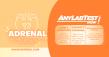 APRIL IS ADRENAL AWARENESS MONTH: 1st ANNUAL CONN’S SYNDROME AWARENESS DAY - ANY LAB TEST NOW JOINS INITIATIVE