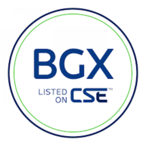 BGX large logo