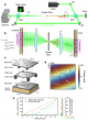 High-speed binary phase-engraved superpixels improve complex light modulation