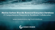 Ocean Visions Releases Comprehensive Marine Carbon Dioxide Removal Ecosystem Database