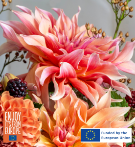 Image of Dahlia