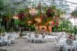 Analysis of Wedding Color Trends: The Influence of Pantone's Color of the Year on Couple's Choices.