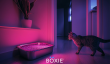 Boxie Launches “Glo For Good” Campaign to Support Pets Displaced by LA Wildfire Damage