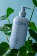 Bleume Launches Innovative Liquid Plant Food to Simplify Houseplant Care