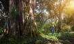 Easy Travel and Tour Ltd Offers Tailor-Made Safaris, Kilimanjaro Climbs, and Zanzibar Tours in Tanzania