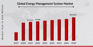 Energy Management System Market Growth