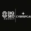 Website Design Digital Marketing Agency and Ai Automation Firm in Fredericksburg Texas