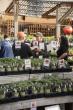 Southern California Gardeners Celebrate at Anawalt's TomatoMania