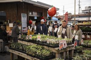TomatoMania shoppers at the event