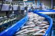 Seafood Processing Equipment Market Size to Worth USD 3.81 Billion by 2032 | CAGR of 5.4% during 2024-2032