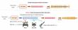 Skywork AI Shatters ‘Structured Music Reasoning’ Barrier with World's First Chain-of-Thought Model