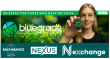 BlueGrace Energy Bolivia Lead Voluntary Carbon Markets with ISIN-Backed Tokenization and NFT Verification