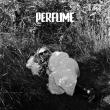 Pop Music Sensation Kelsie Kimberlin Releases Her New Music Video, 'Perfume'