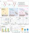 Stereoisomeric Engineering for Critical Balance of Solvation and Adsorption Capability