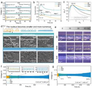Figure 2: Comparative analysis of zinc deposition/stripping behaviors and electrochemical properties in three electrolyte formulations.