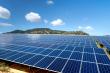 Optimus Energy Launches emsys VPP-powered Virtual Power Plant to Trade Renewable Energy in Greece
