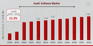 Audit Software Market Size
